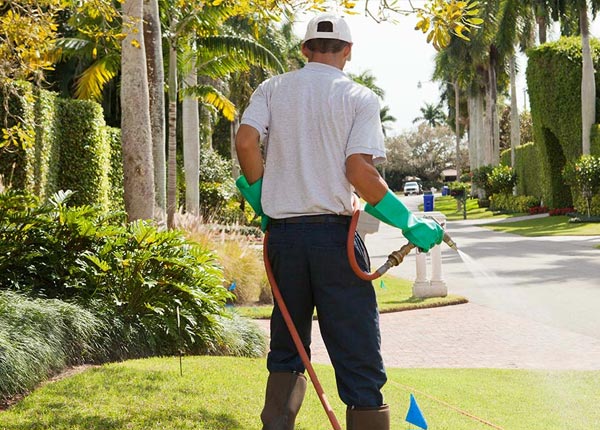 About Sasabe AZ Pest Control